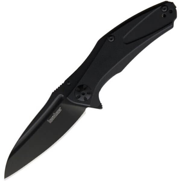 Undaunted Kershaw Natrix Knife
